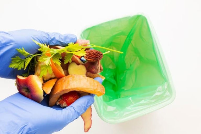 음식물 쓰레기 줄이는 방법 및 분류 기준
