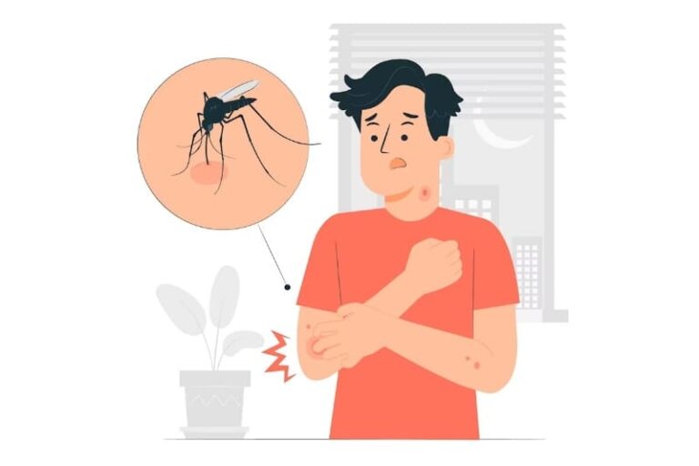 말라리아 모기별 증상 및 치료 방법